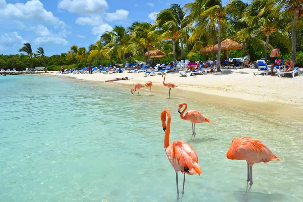 paquetes turisticos a Feriados De Julio En Aruba 2024 - Del 28 Julio Al 01 Agosto Con Latam Airlines